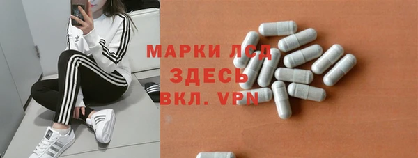 спиды Новодвинск