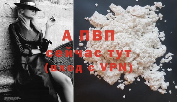 спиды Новодвинск