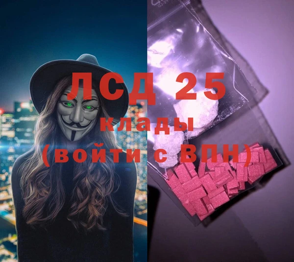 спиды Новодвинск