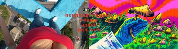COCAINE Нефтекумск