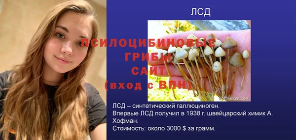 наркотики Новозыбков