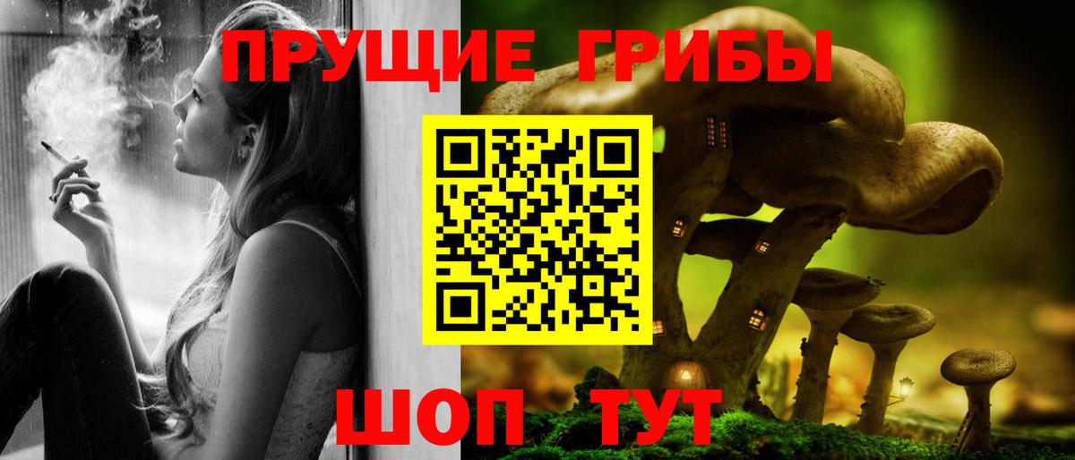 Коркино  Псилоцибиновые грибы Psilocybe  Вход с VPN 